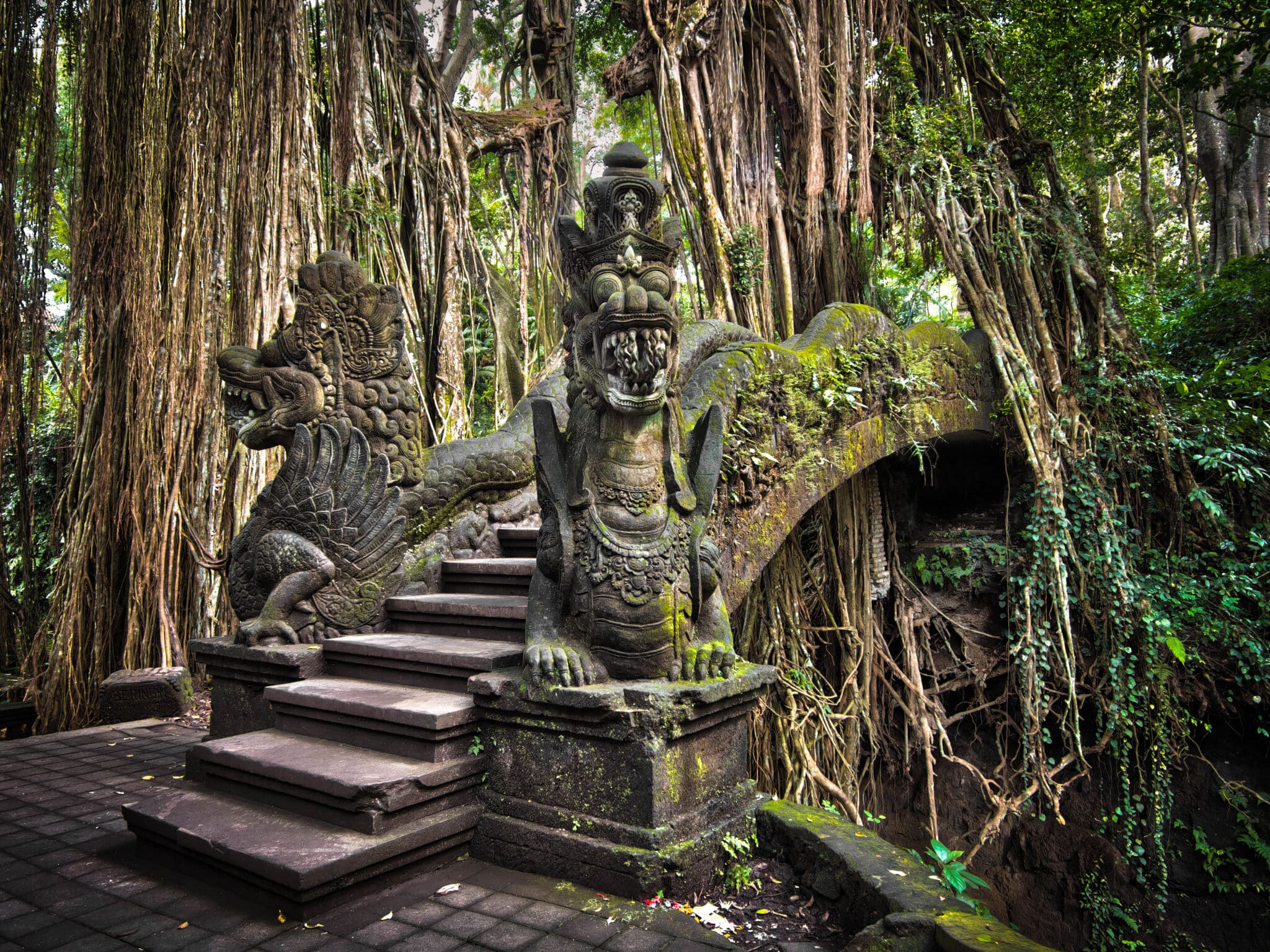 Pont du Dragon dans le sanctuaire sacré de la forêt des singes