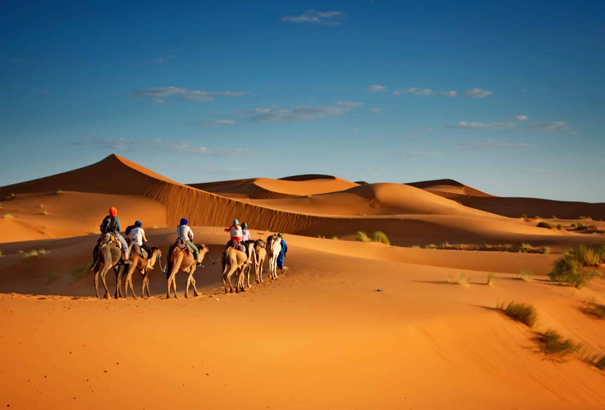 Désert du Sahara, Maroc