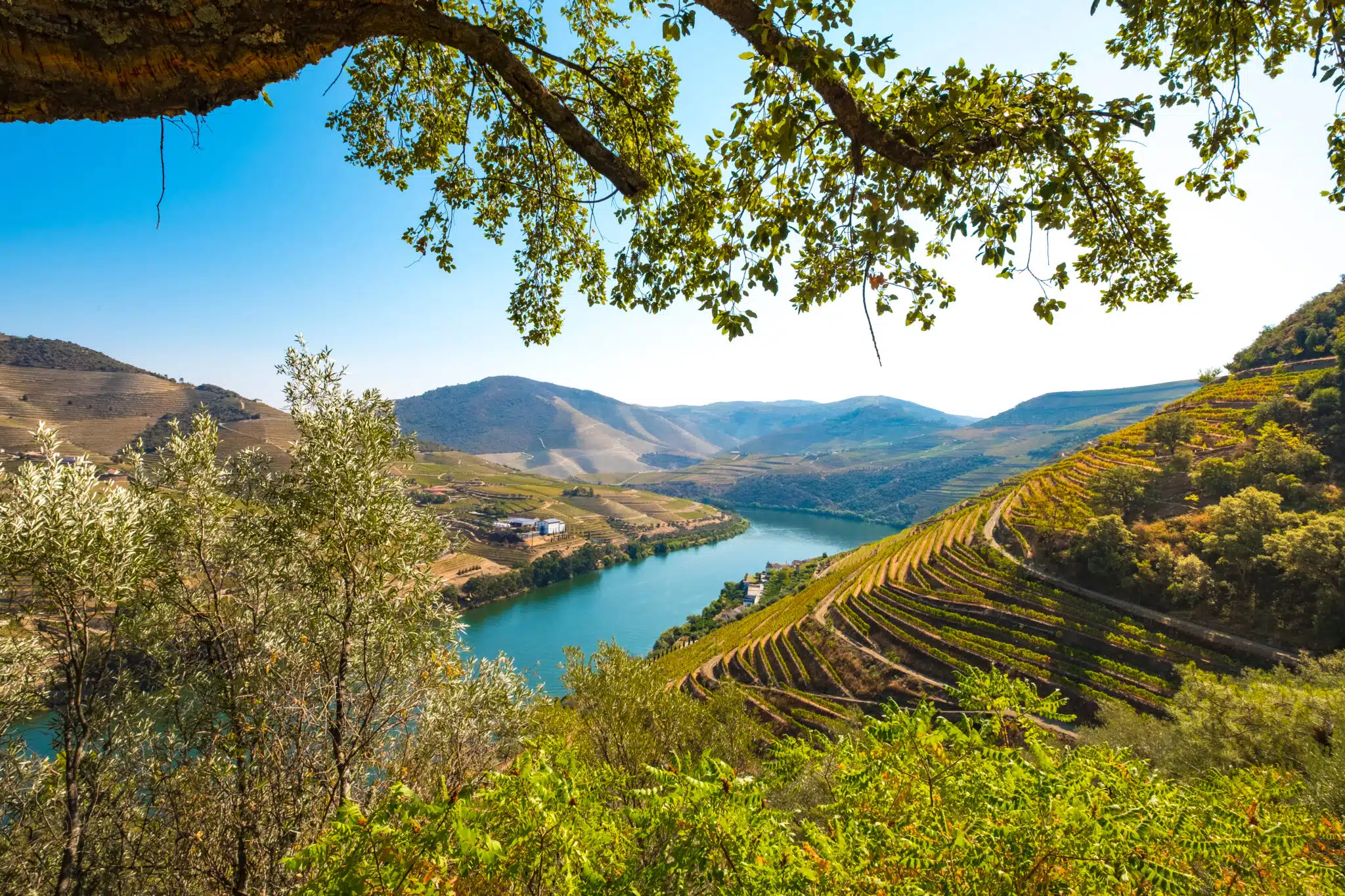 Vallée des vins sur le Douro