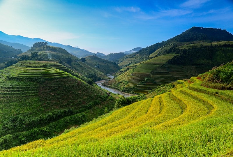 Sapa