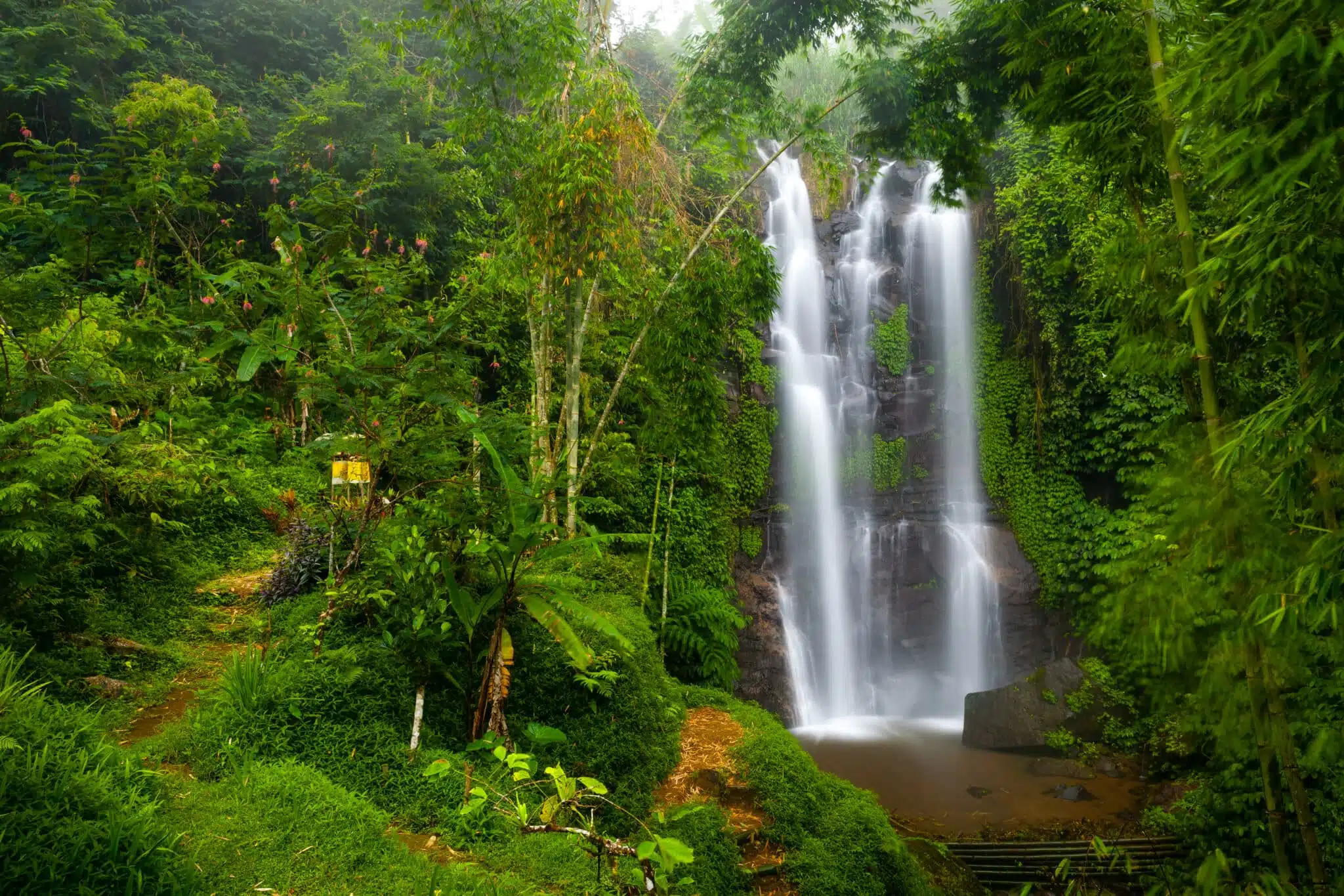 Munduk Waterfall - Bali
