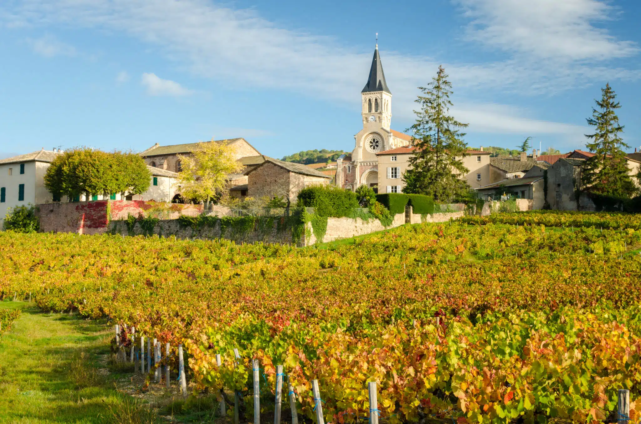 Village et vignoble de Beaujolais