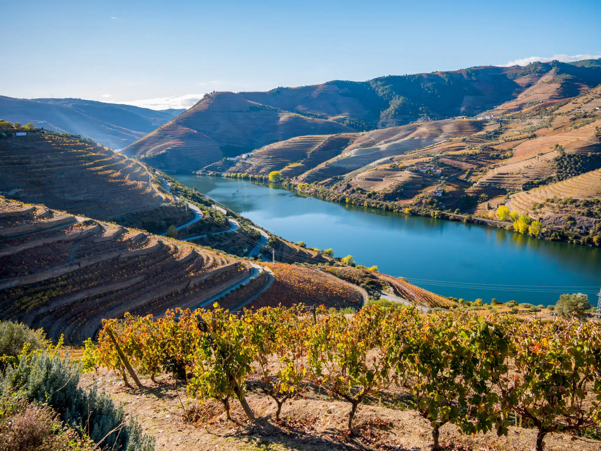 Vignobles le long du fleuve Douro