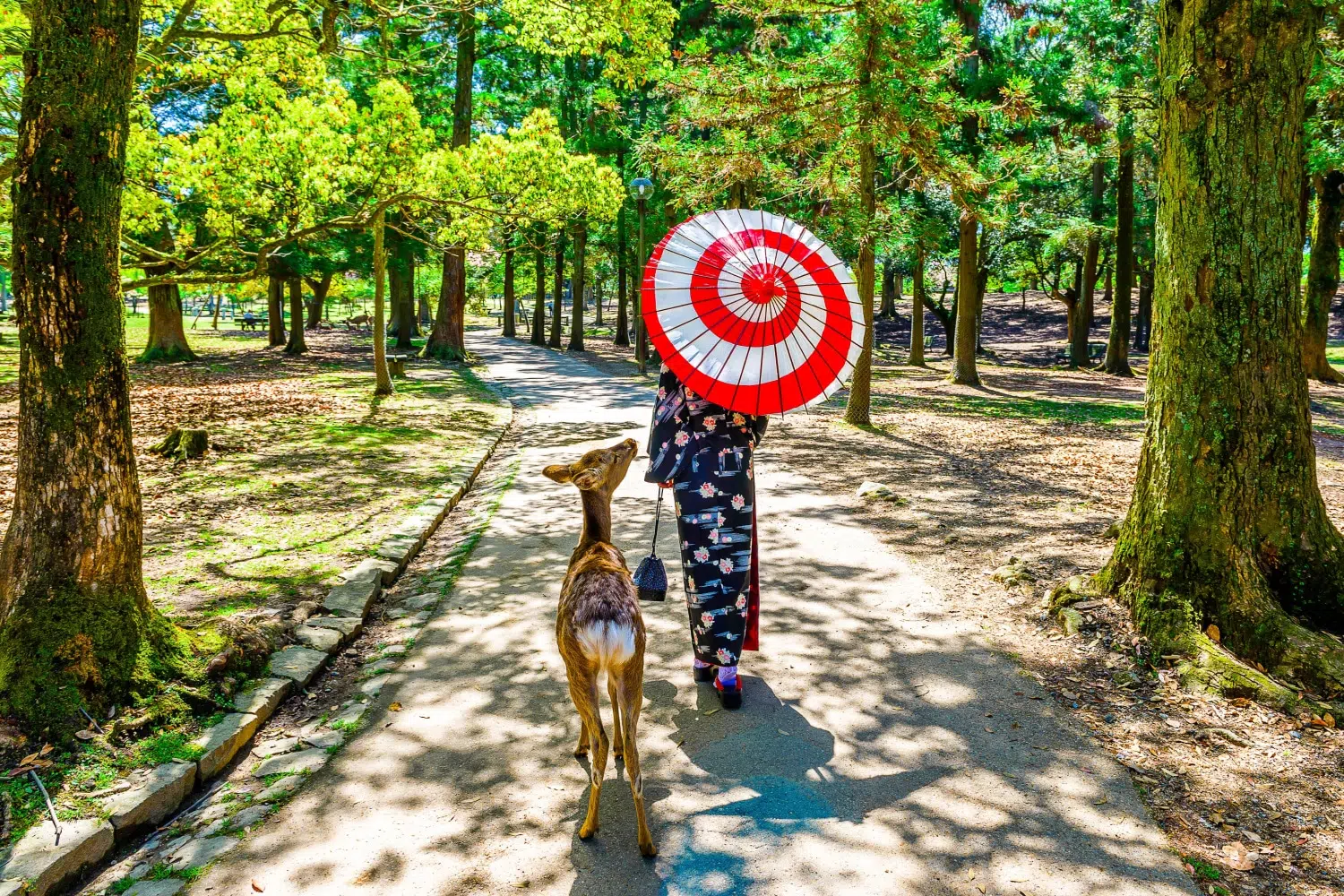 voyage au japon