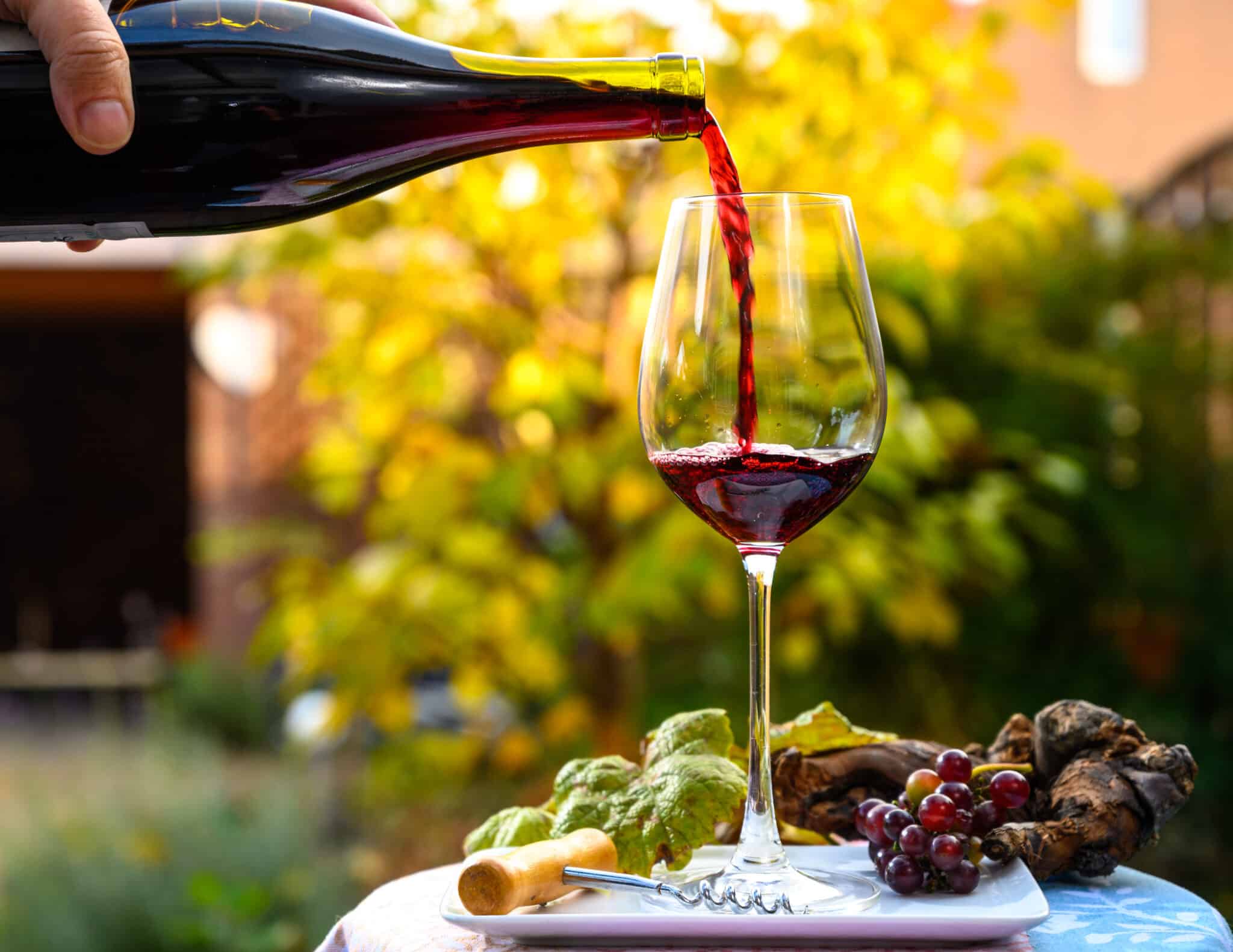 Vins du Douro