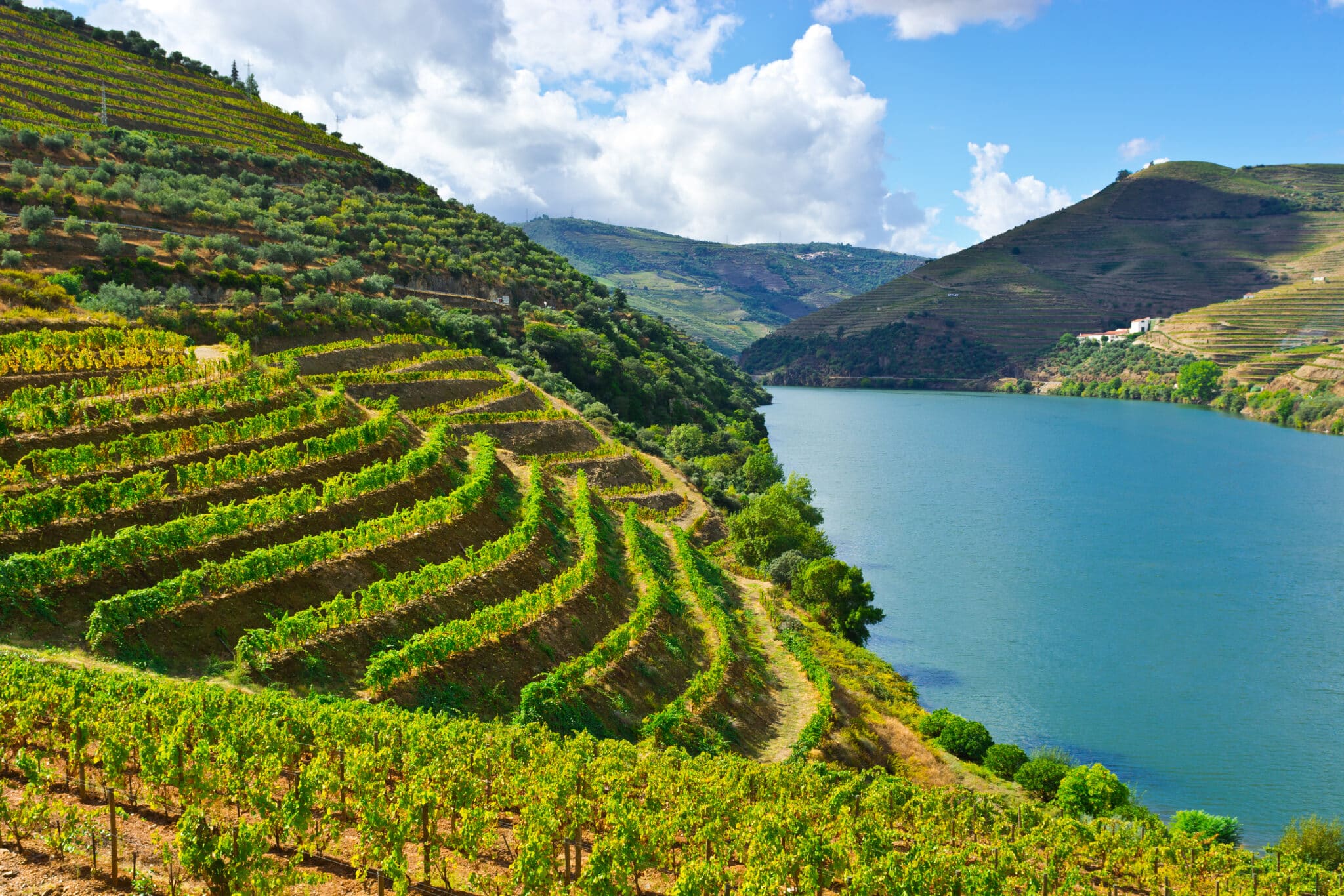 Porto & la Vallée du Douro